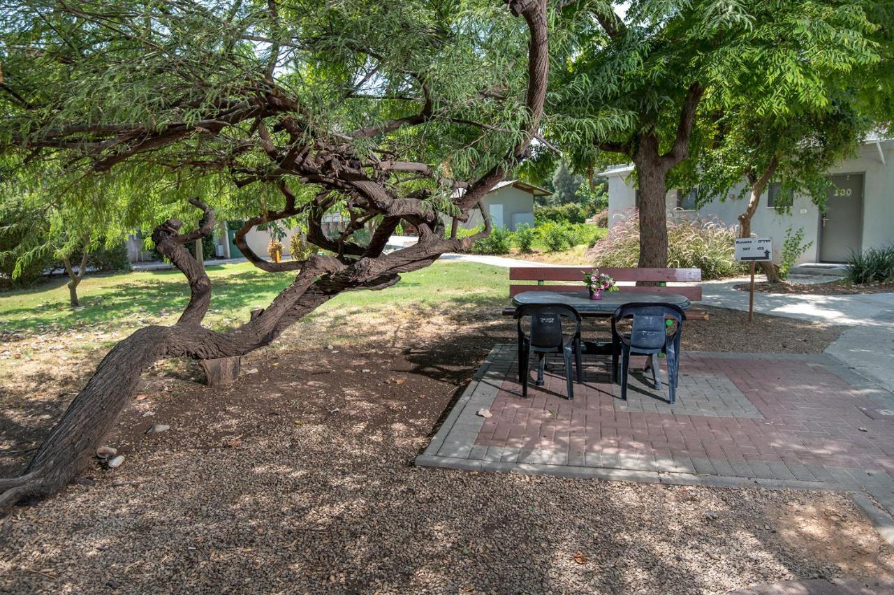 Degania Bet Kibbutz Country Lodging Кинерет Экстерьер фото