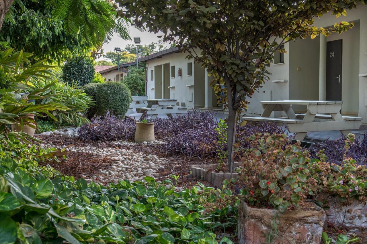 Degania Bet Kibbutz Country Lodging Кинерет Экстерьер фото