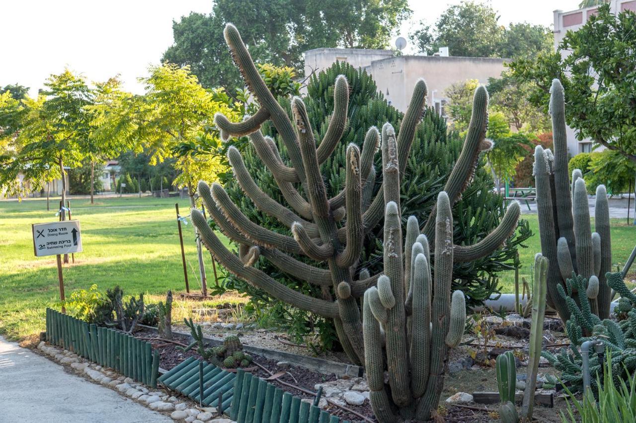 Degania Bet Kibbutz Country Lodging Кинерет Экстерьер фото