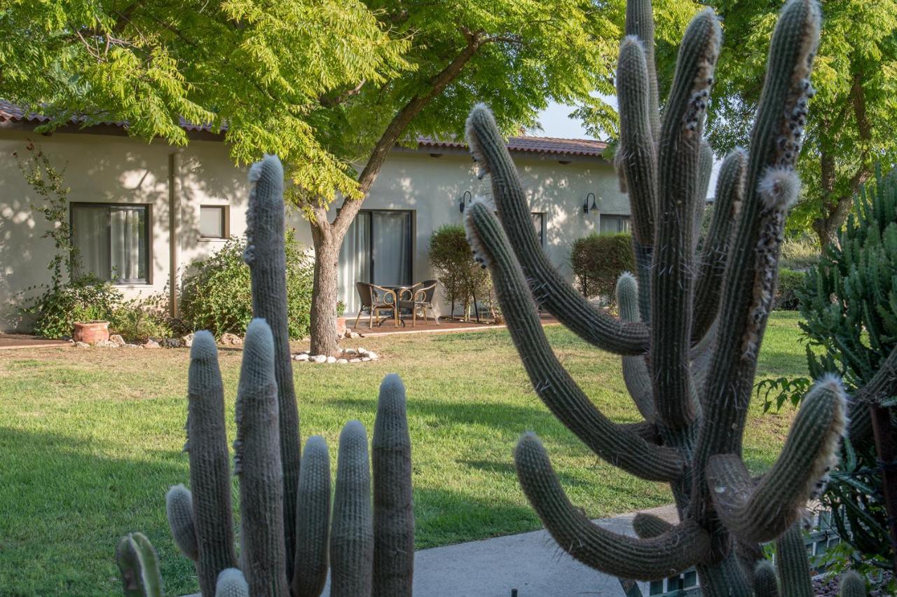 Degania Bet Kibbutz Country Lodging Кинерет Экстерьер фото