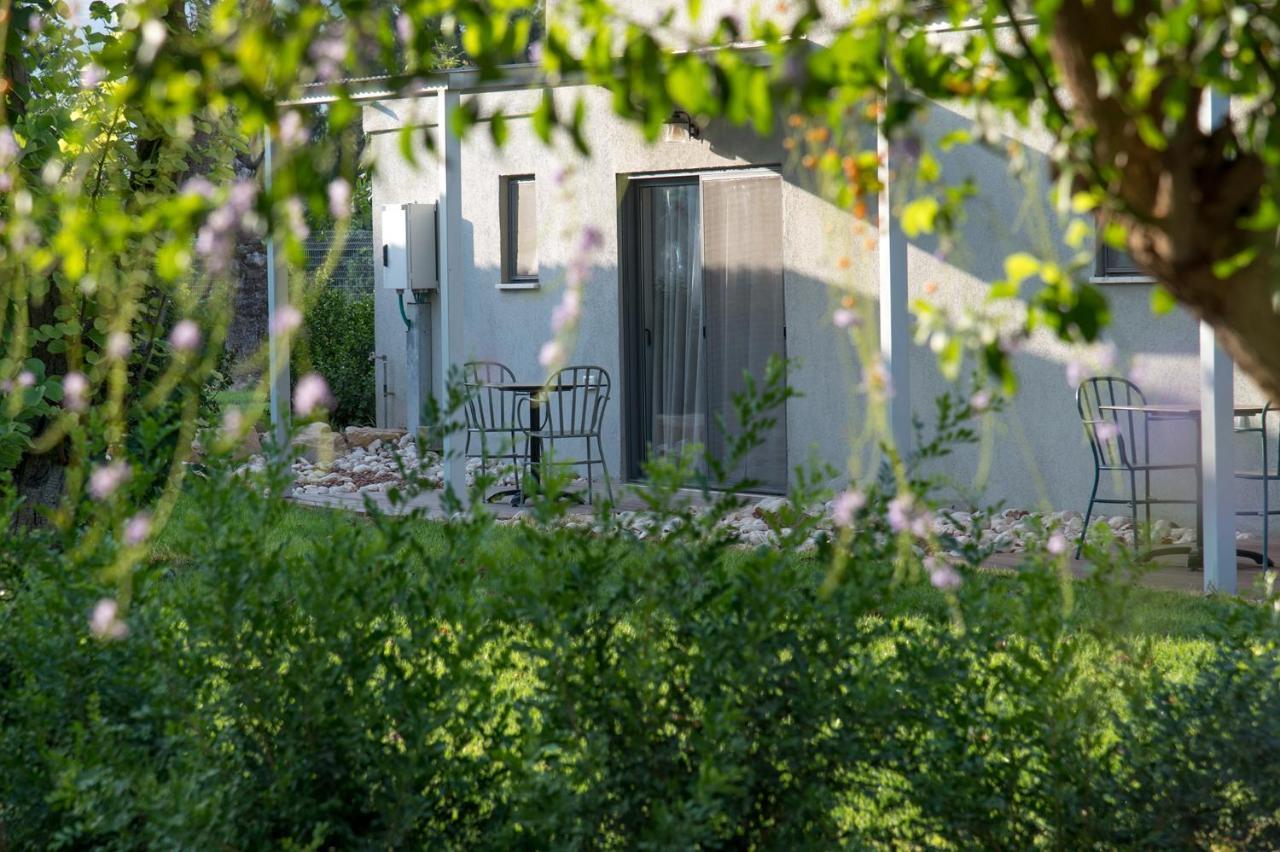 Degania Bet Kibbutz Country Lodging Кинерет Экстерьер фото