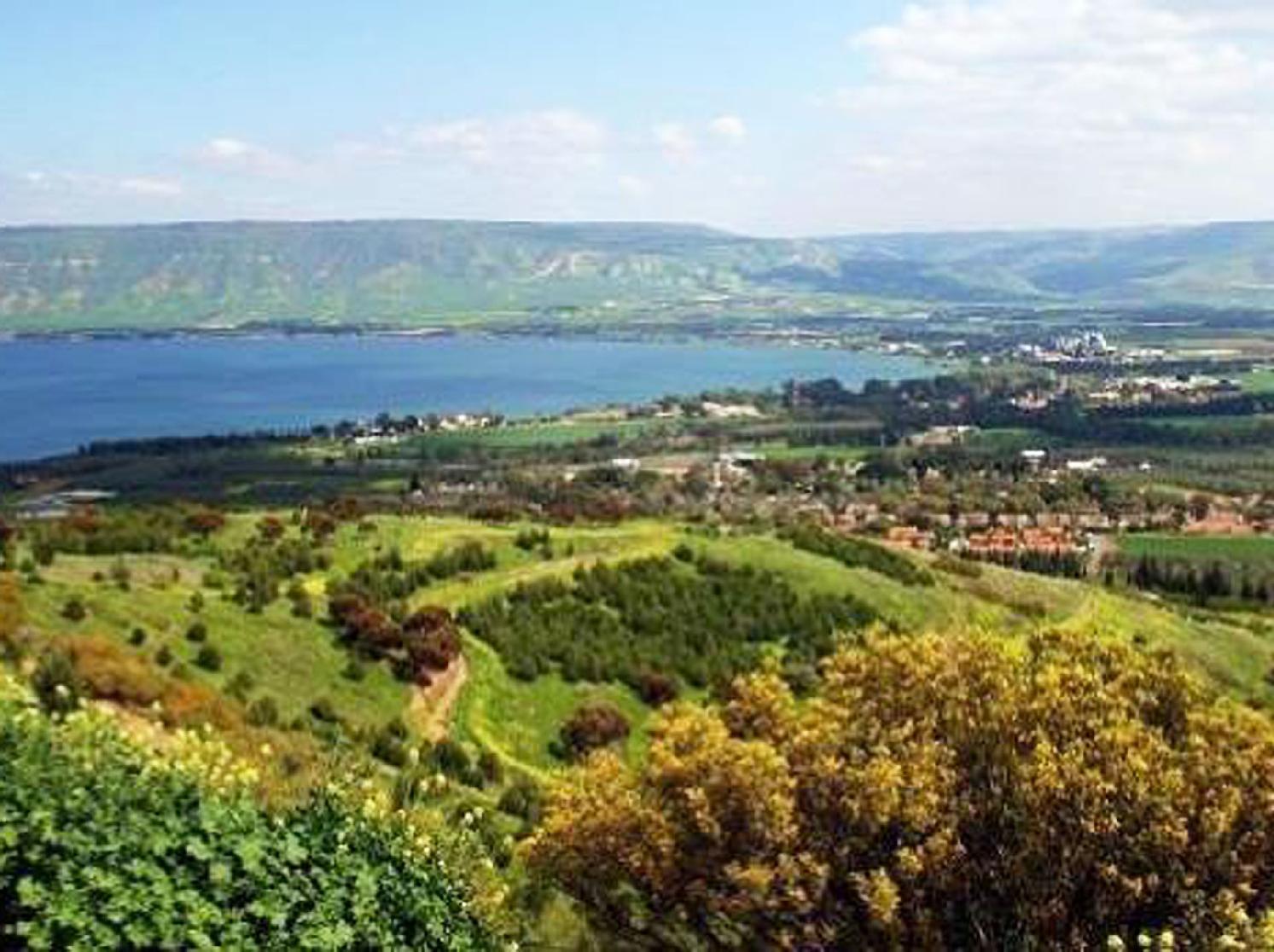 Degania Bet Kibbutz Country Lodging Кинерет Экстерьер фото